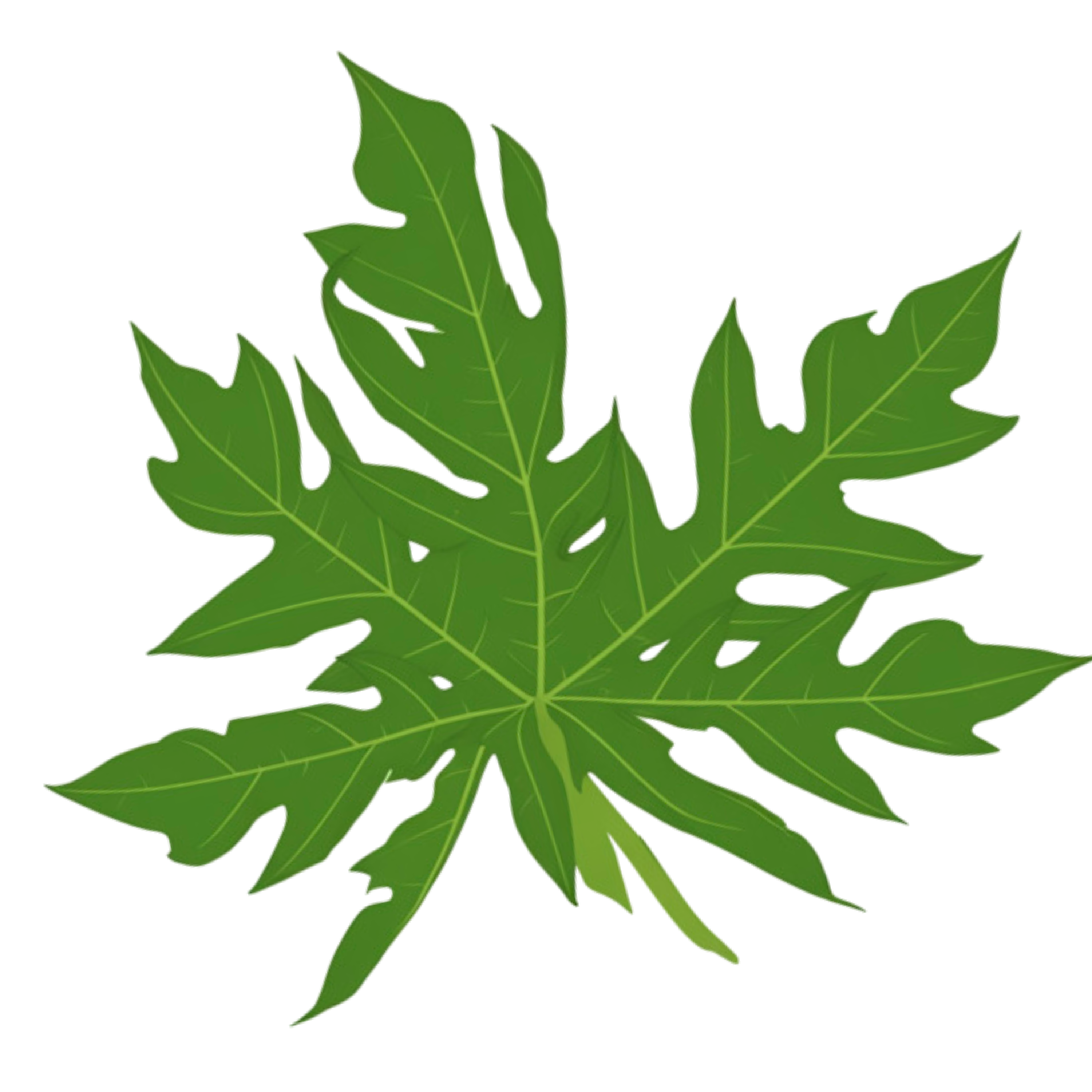 Daun Pepaya